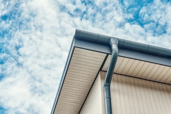 Gutter Fascia Repair in Tyler